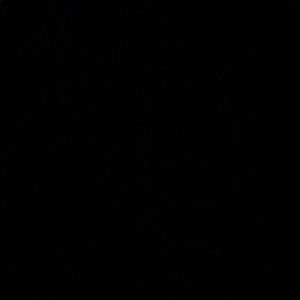 Meet your Posher, Demyia